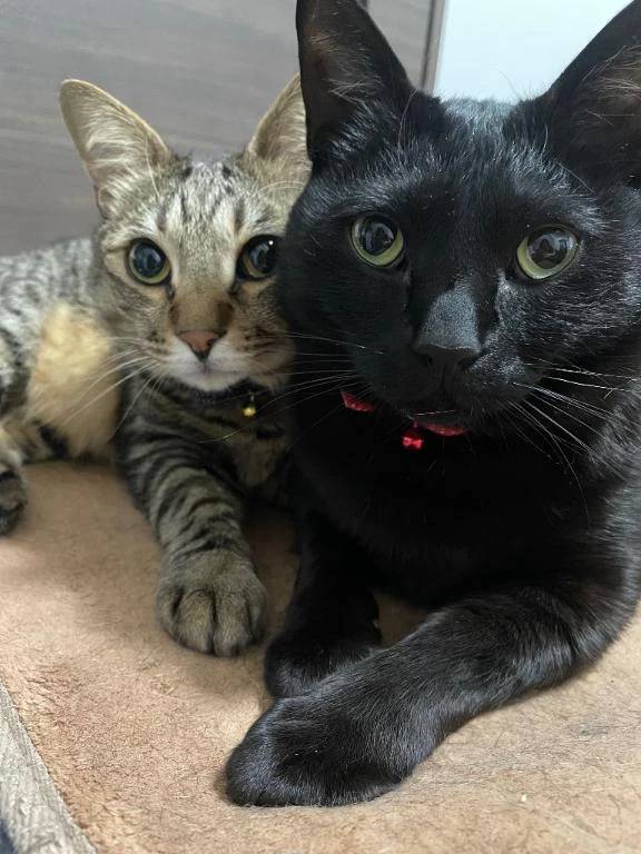 次回明日月曜日🈳