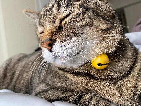 すみません🙇‍♀️