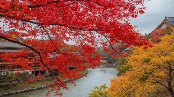 しばらくお休みします🙋‍♀️