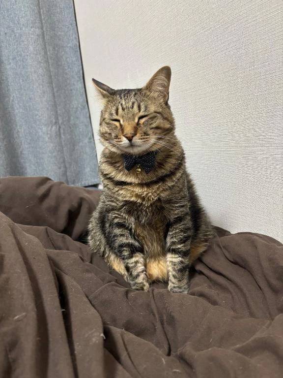 次回明日火曜日🈳