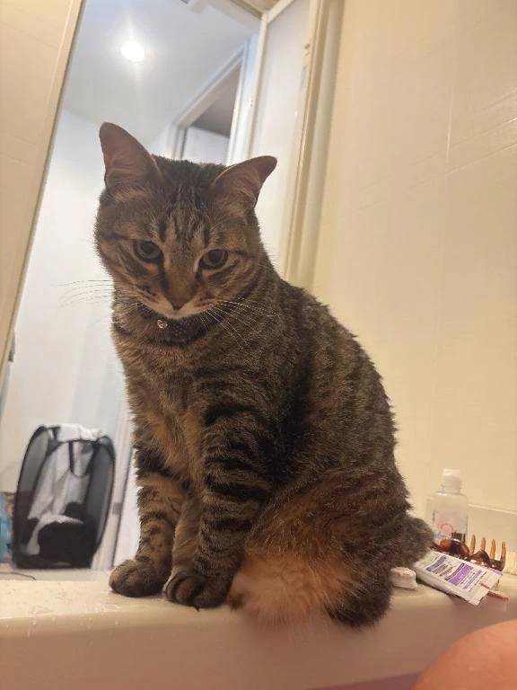 次回明日水曜日🈳