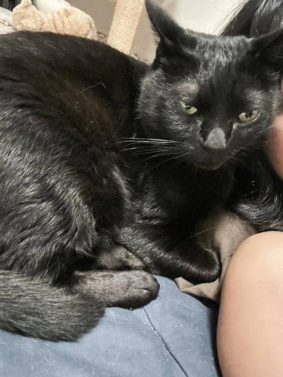 次回明日金曜日🈳