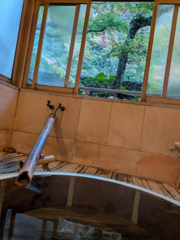 おはようございます(*^^*)🎶