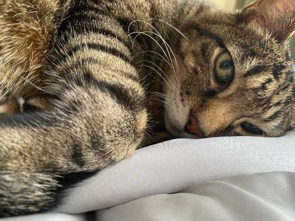 すみません🙇‍♀️