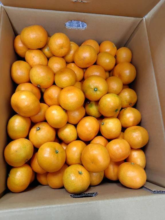 💓おはようございます(*^^*)