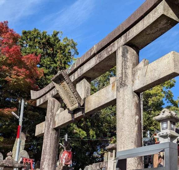 頂上└( 'ω')┘ムキッ