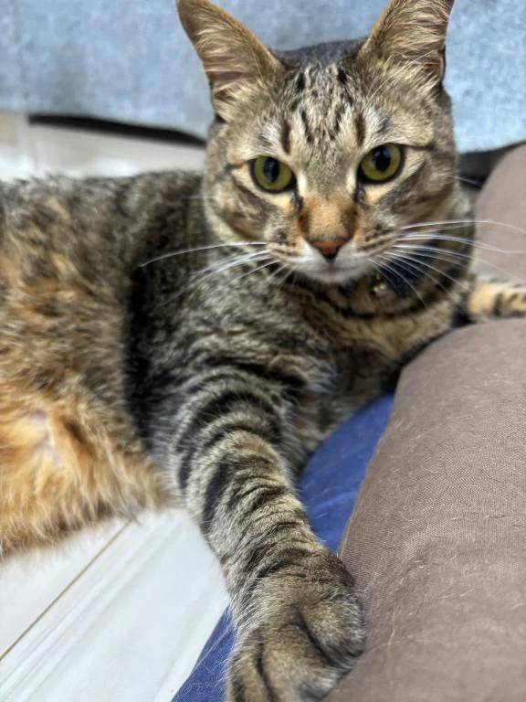 次回明日月曜日🈳