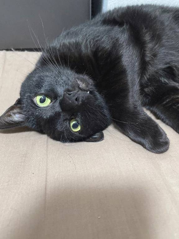 次回明日金曜日🈳