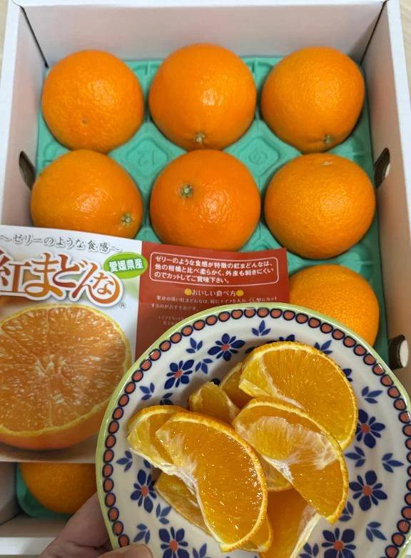 🍊ことにっき🍁