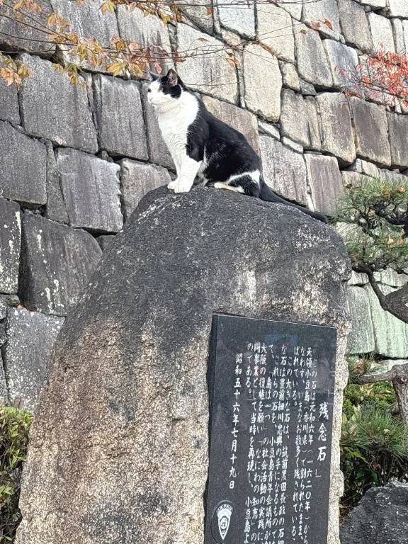 しきさん(いけない奥さん)