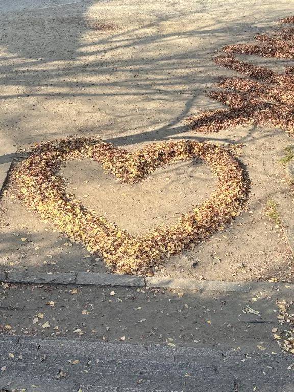 次回明日金曜日🈳