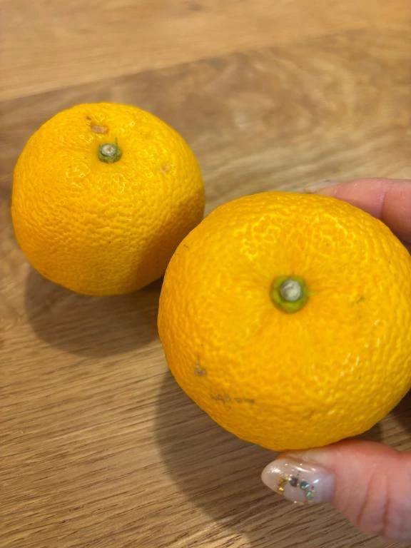 12/22(月)冬至点🕰️0:03