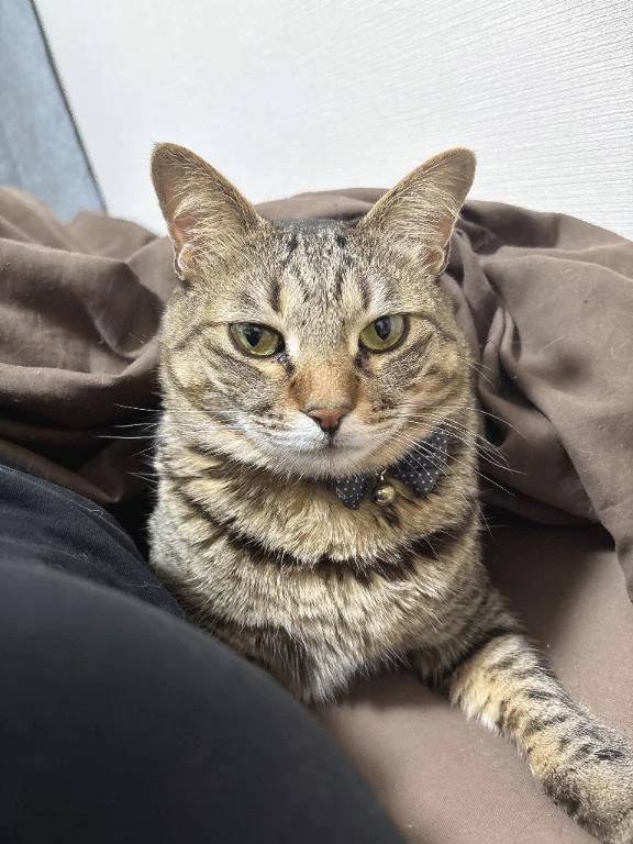 次回明日火曜日♡‬