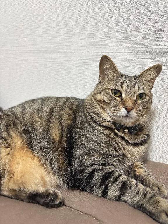 次回明日土曜日♡‬