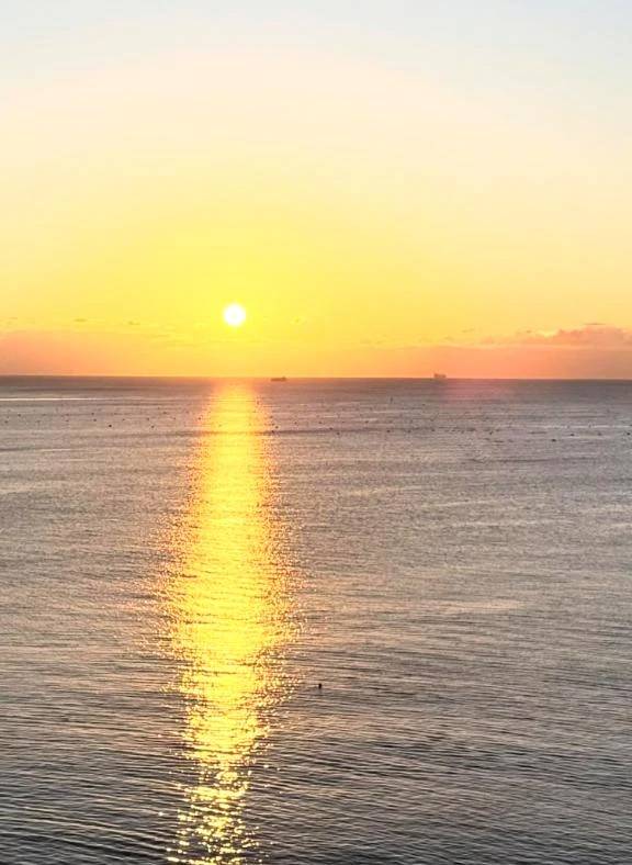 明けましておめでとうございます🐎❤️