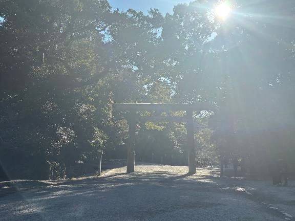 明日1/4(日)ご予約完売⭐️