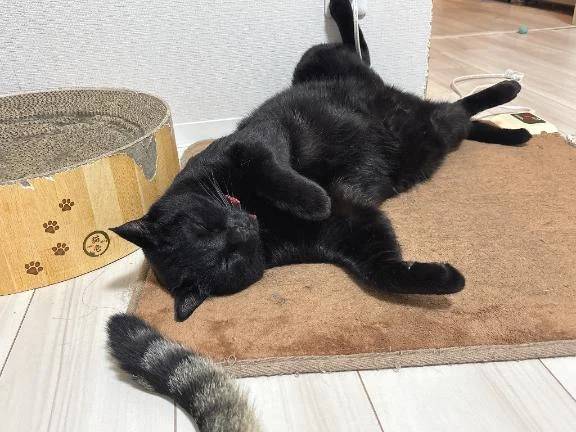 次回明日月曜日♡‬