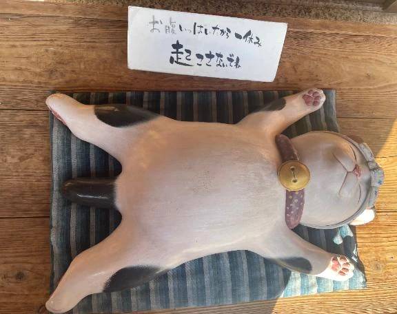 本日は受付終了にします😺