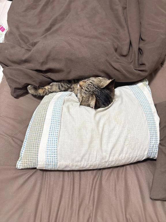 次回明日金曜日♡‬