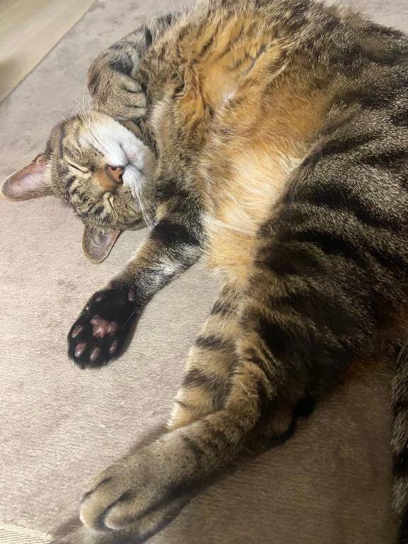 すみません🙏🥹