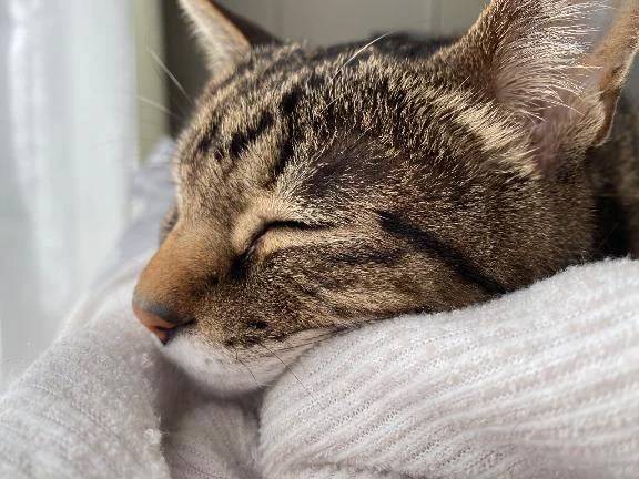 ごめんなさい🥲🙏