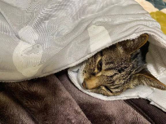 すみません🙏🥹