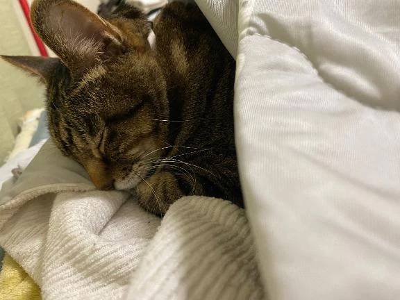 すみません🙏🥹