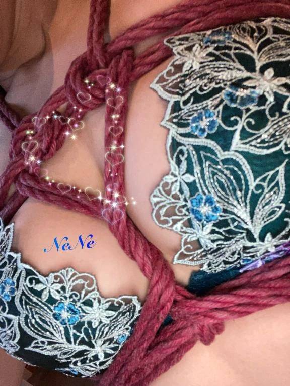 おはようございます☺︎