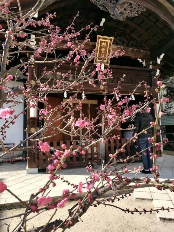 今後のご予約について🙇‍♀️