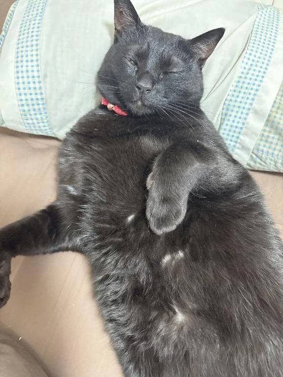 次回火曜日♡‬