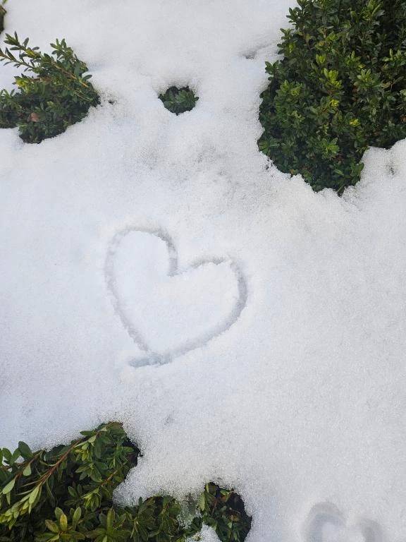 ❤️今週の出勤予定です❤️