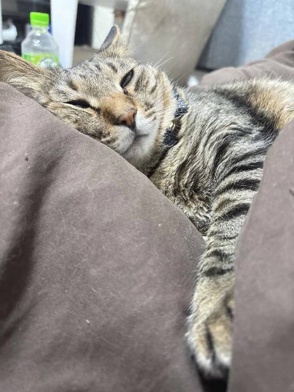 次回火曜日♡‬