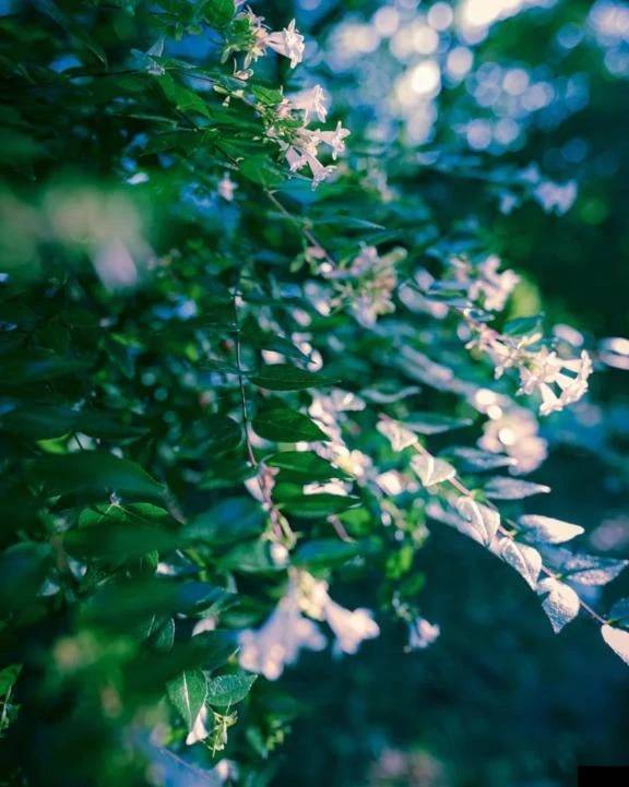 明日、出勤します(o^^o)