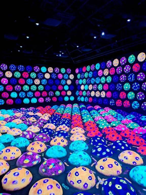 京都チームラボ🐇🩷