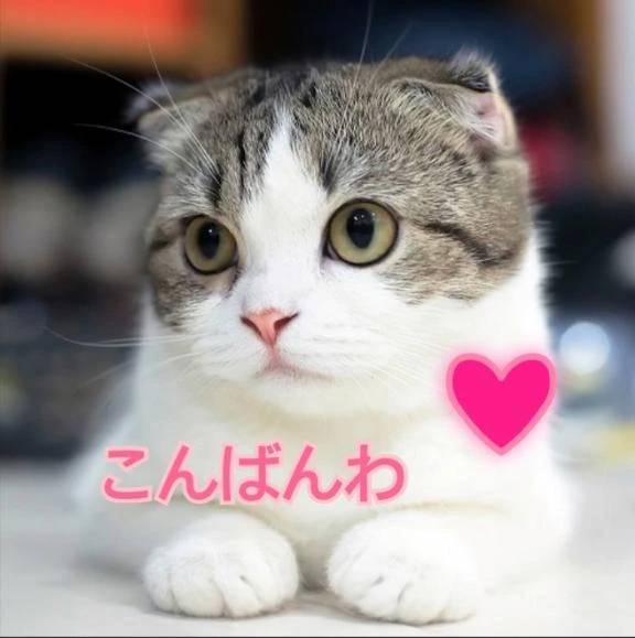 出勤しました❤️