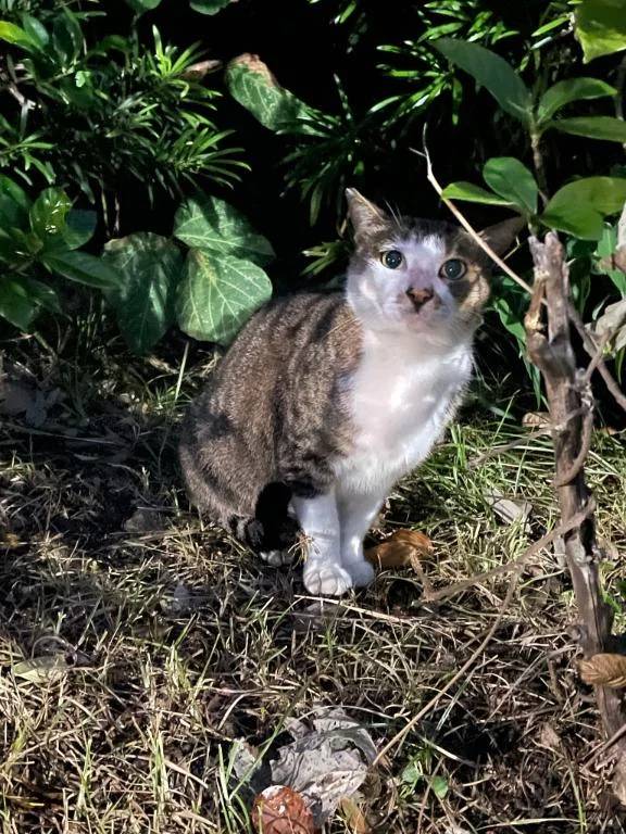 次回水曜日♡‬
