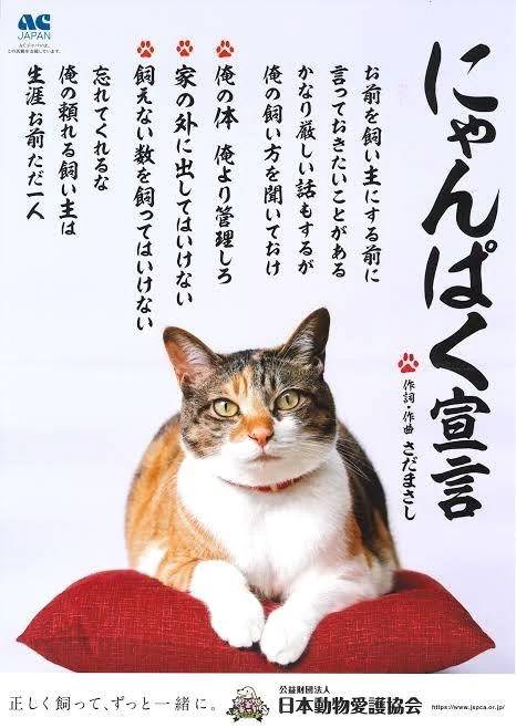 にゃんにゃんにゃん🐱