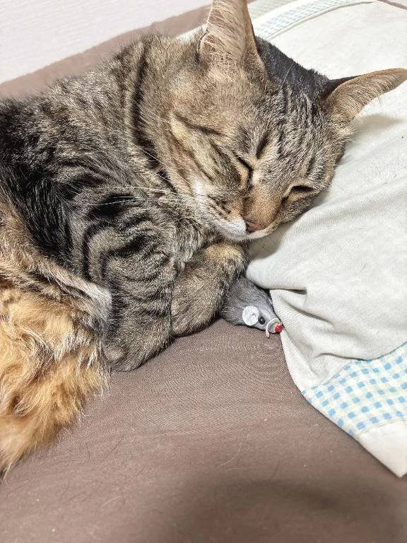 次回水曜日♡‬