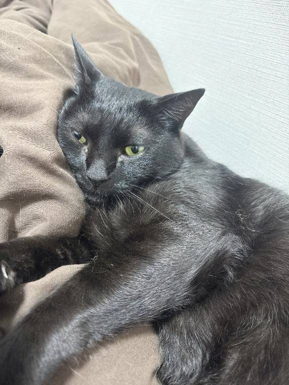 次回月曜日♡‬