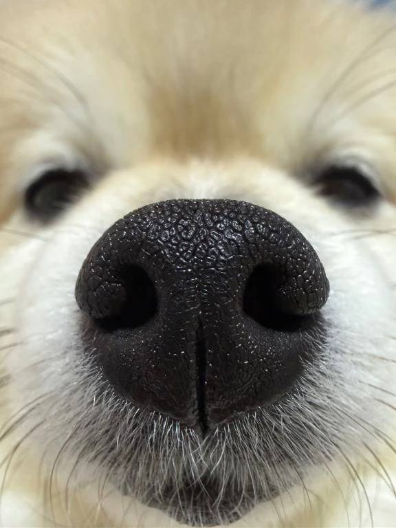 うぅ(´；ω；｀)