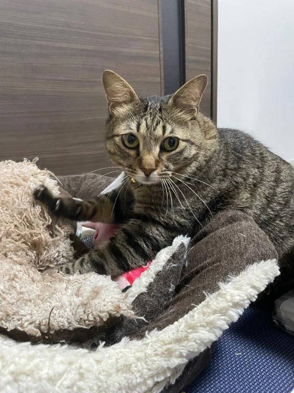 次回水曜日♡‬