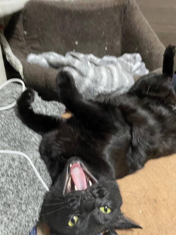 次回水曜日♡‬