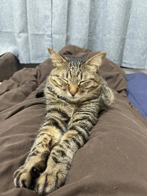 次回明日金曜日♡‬