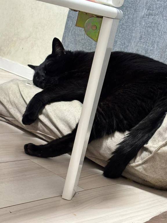 次回明日水曜日♡‬