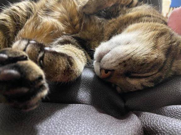 すみません🙏🥲