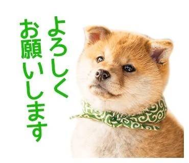 💓本日完売💓