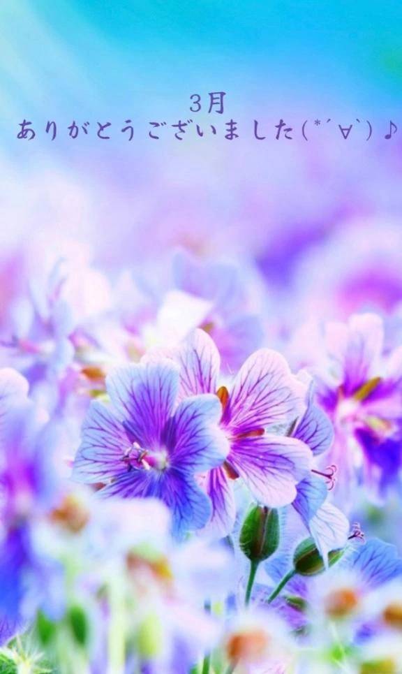 3月　御礼(^-^)♡