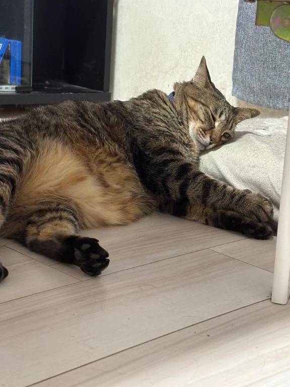 次回明日月曜日♡‬