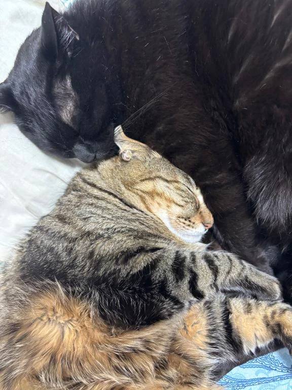 次回水曜日♡‬