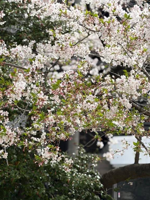☆本日の御礼☆